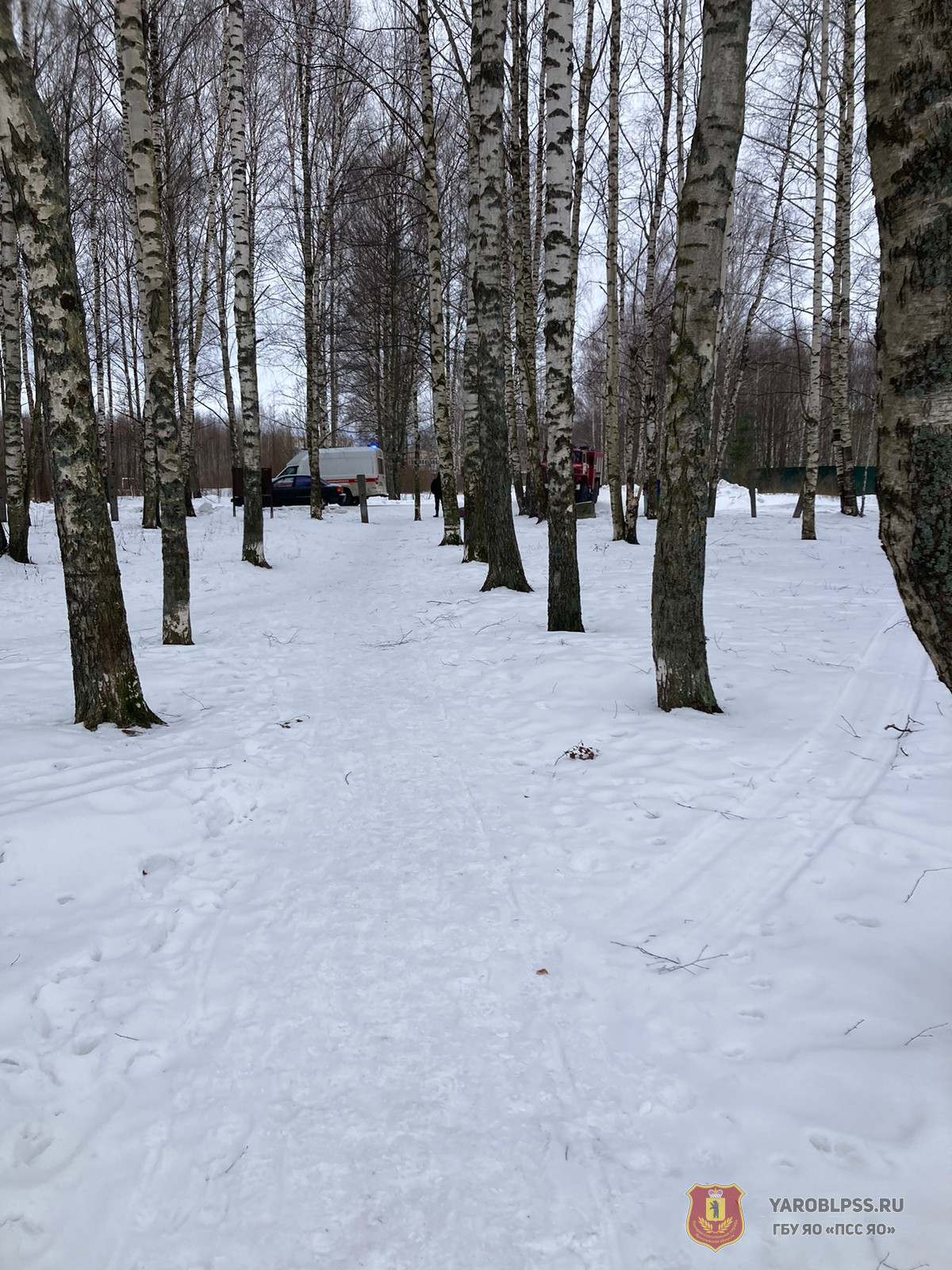 Находился в двух километрах от берега: в Ярославской области спасли рыбака, у которого случился инсульт