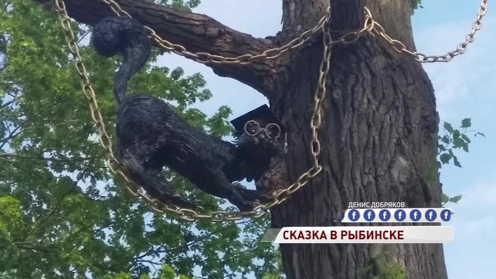 В Карякинском парке поселился кот ученый