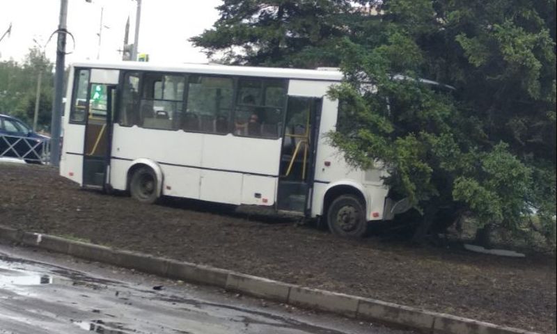 Отказали тормоза: маршрутка с пассажирами влетела в дерево в Ярославле