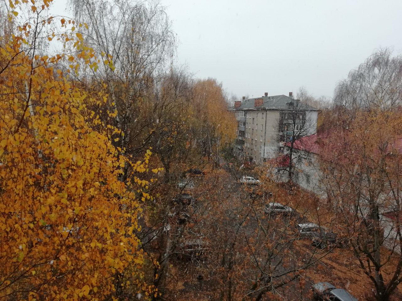 Снег и ночные заморозки: в Ярославскую область приходит зима