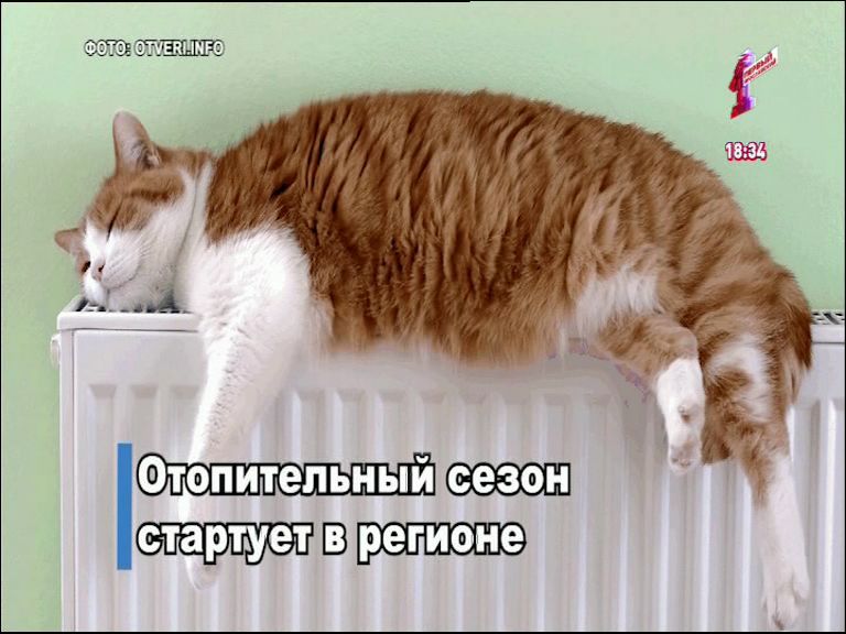 На улице холодает, в домах – теплеет: в Ярославской области стартует отопительный сезон