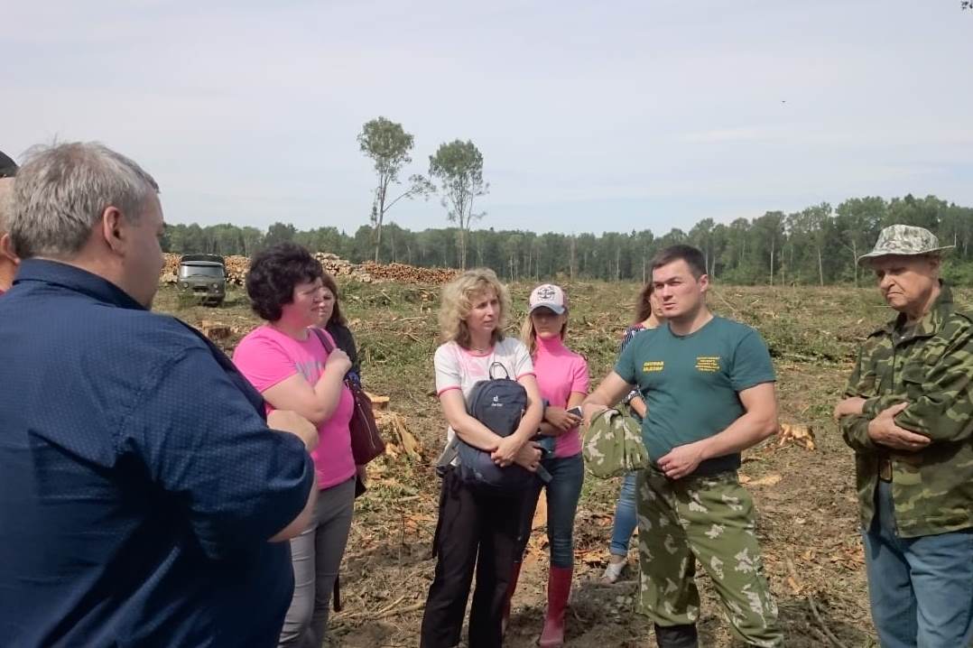 Эксперты предложили включить в концепцию новой экологической политики работу по лесовосстановлению