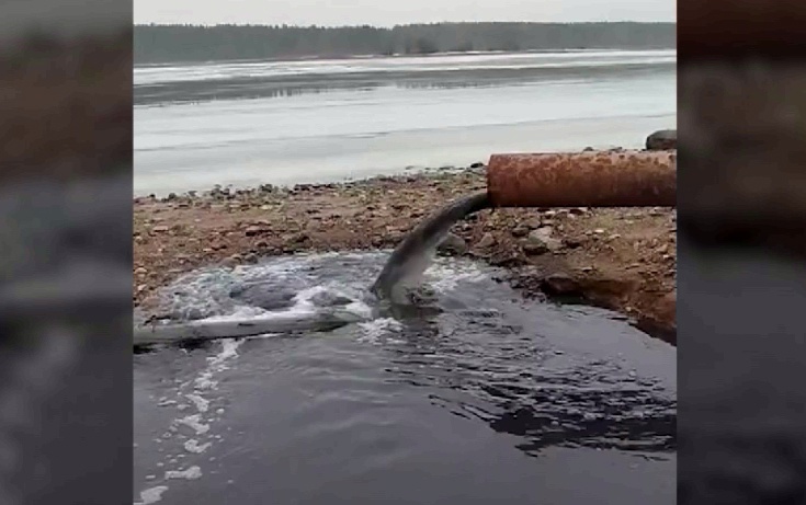 В Мышкине черная вода сливается в Волгу: Северный водоканал занимается решением проблемы