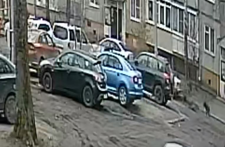 «У мальчика более 50 швов»: очевидцы сообщают о собаках, напавших на ребенка в Брагино