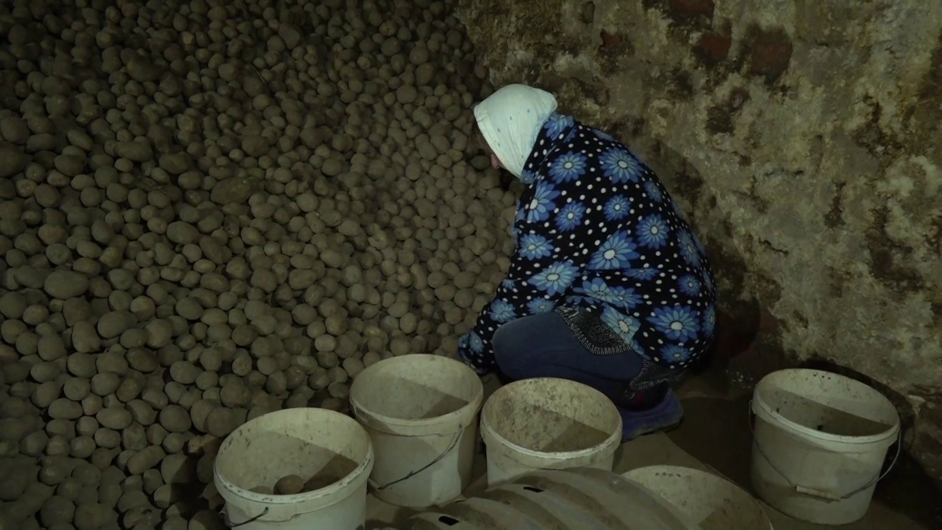 В Ярославской области подвели итоги эксперимента по применению гуматов