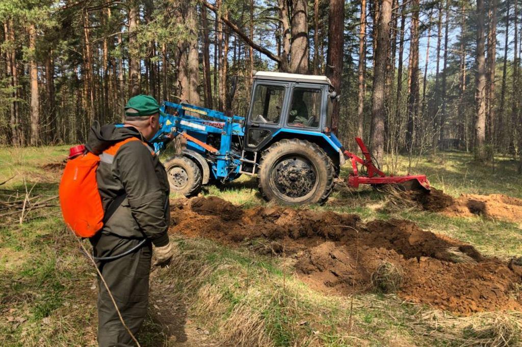 Огонь не пройдет: в области с лесными пожарами борются с помощью минерализованных полос