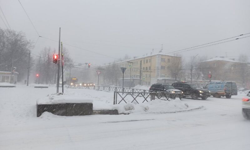 МЧС: на Ярославль надвигается метель