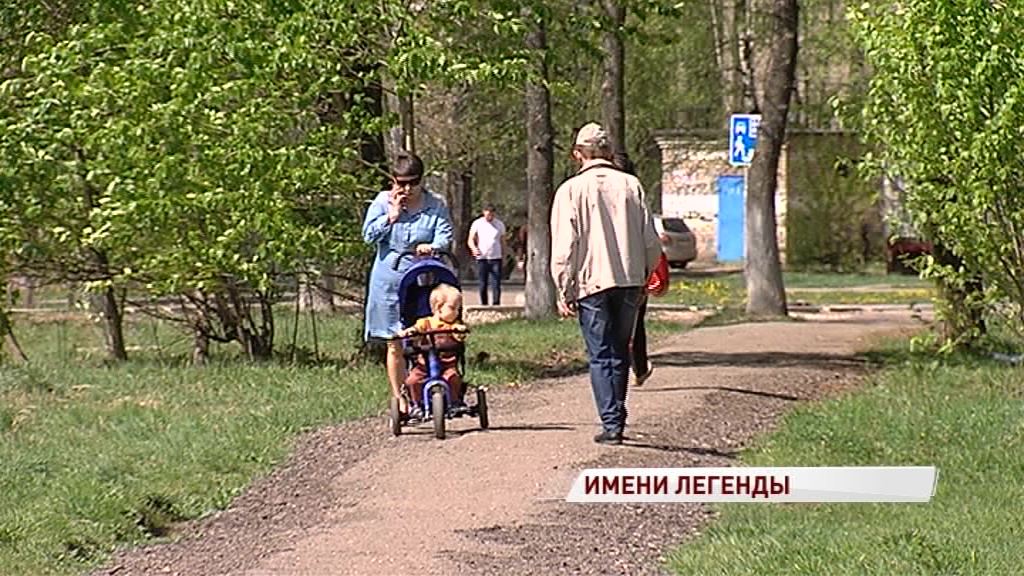 В Ярославле на улице Панина появится аллея имени Ивана Ткаченко