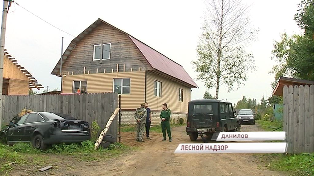 В Ярославской области проверяют участки на целевое использование древесины