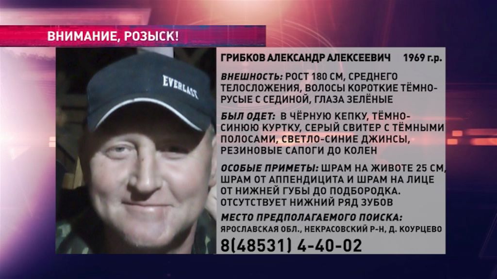 В Ярославской области ищут Александра Грибкова