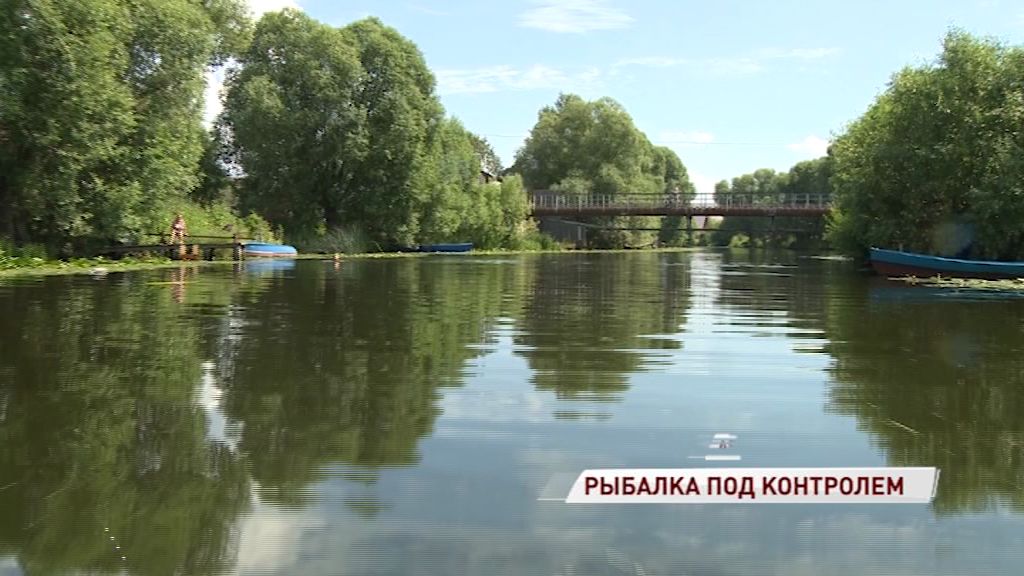 С 1 января вступает в силу новый закон о рыбалке: как поймать рыбку и не нарваться на штраф