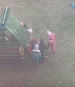 После видео с дракой из детсада городской департамент образования начал проверку