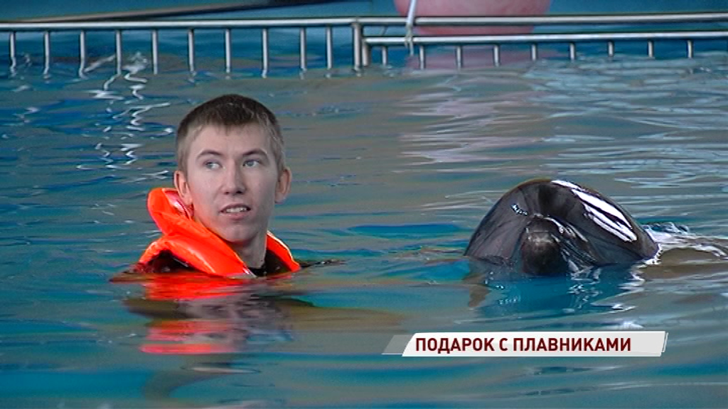 За мечтой под воду: у особенного ярославца сбылось новогоднее желание поплавать с дельфинами