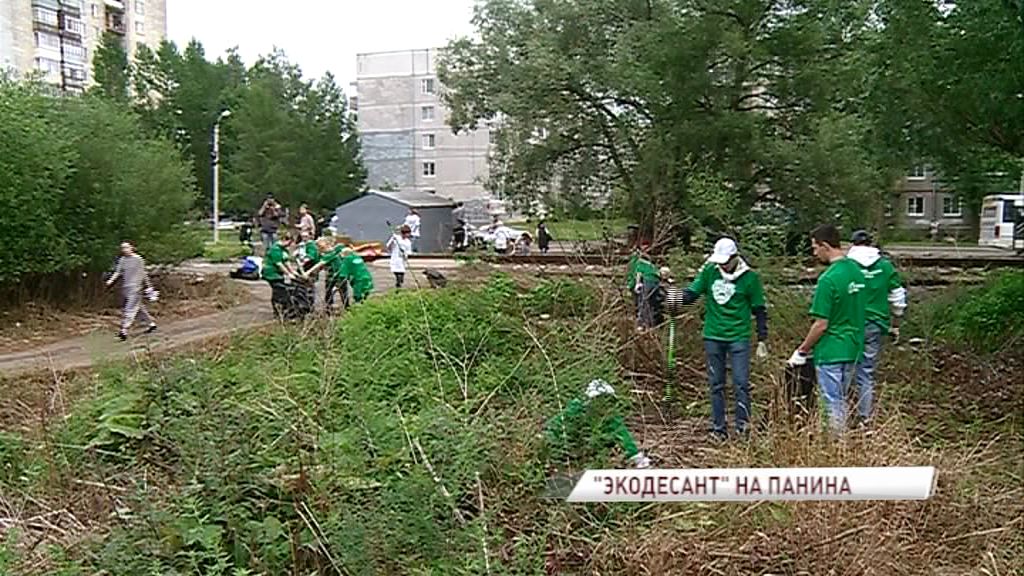 Волонтеры «Экодесанта» помогли убрать территорию жителям улицы Панина