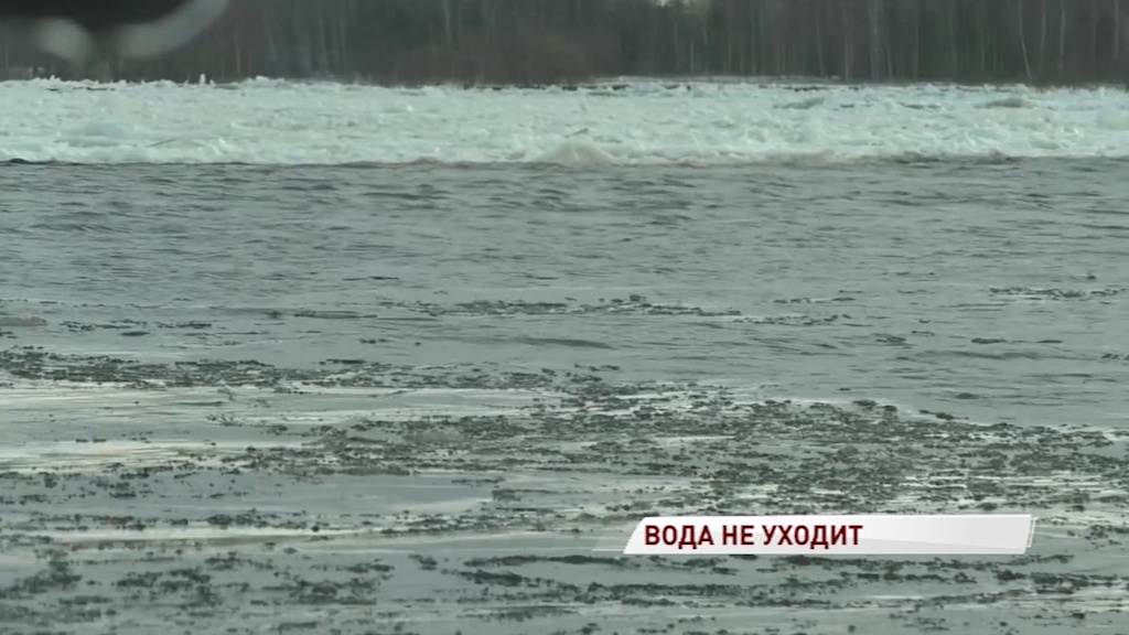 Ледяной затор на границе двух районов не позволяет опуститься уровню воды в Волге - МЧС