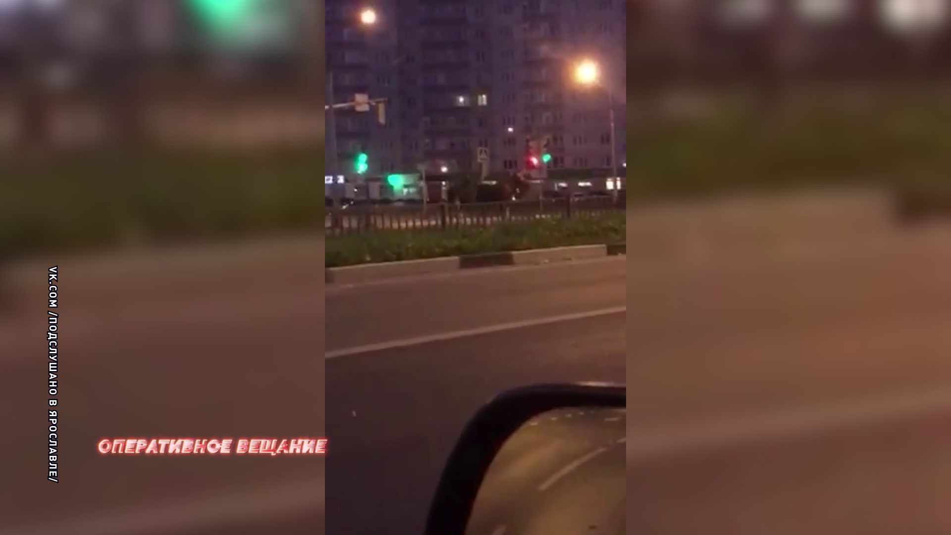 В Ярославле лоси вышли на проезжую часть