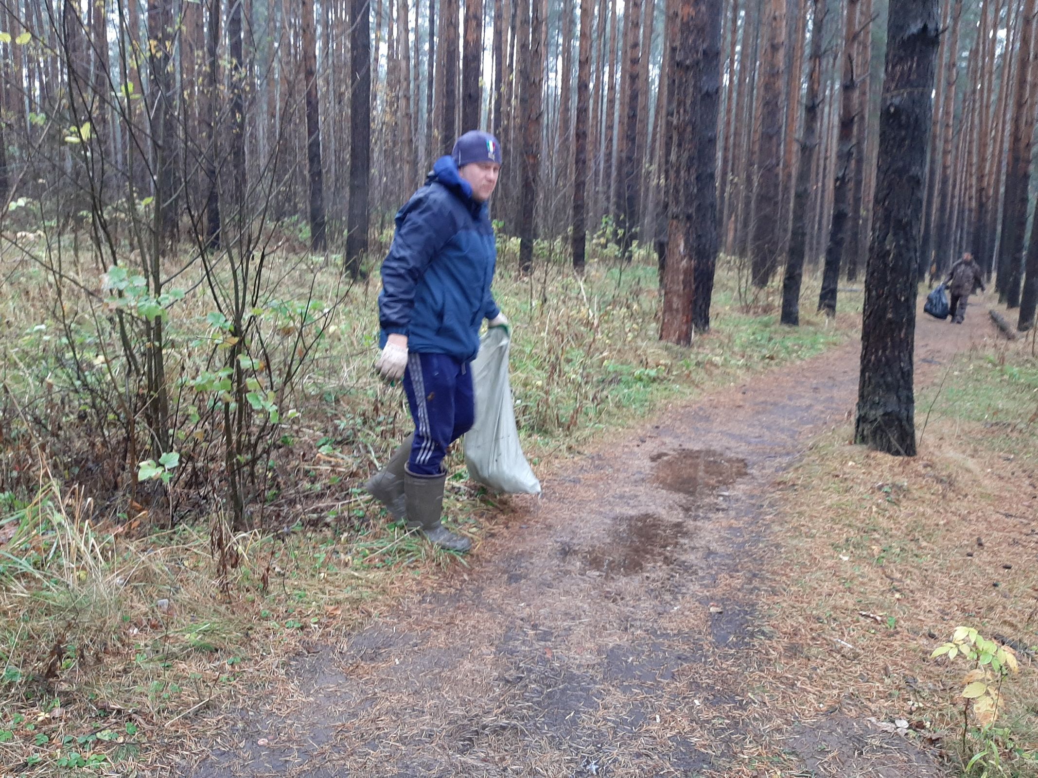 С начала года из лесов Ярославской области вывезли около 870 кубометров мусора