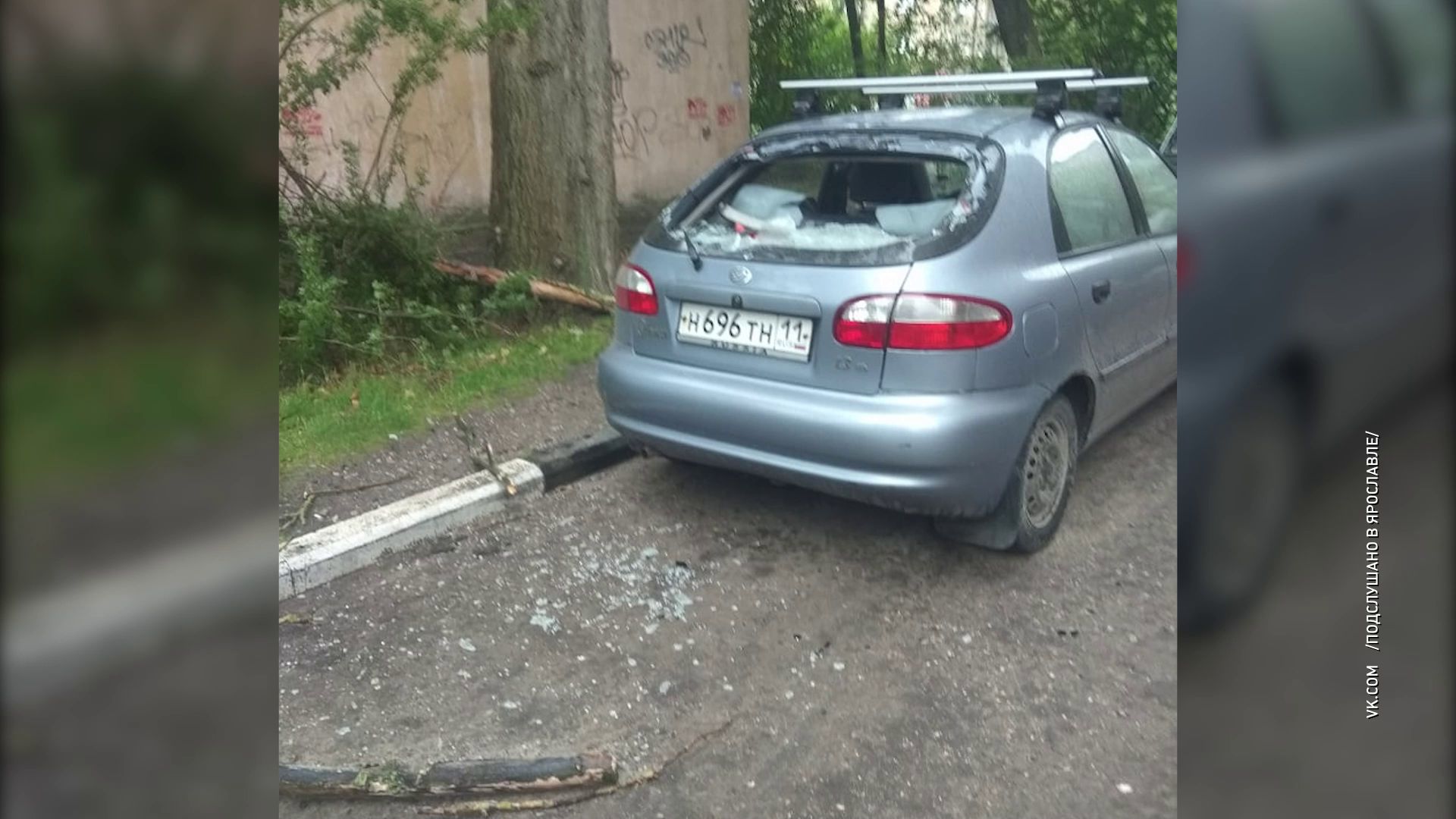 В Ярославле сухая ветка разбила заднее стекло хэтчбека