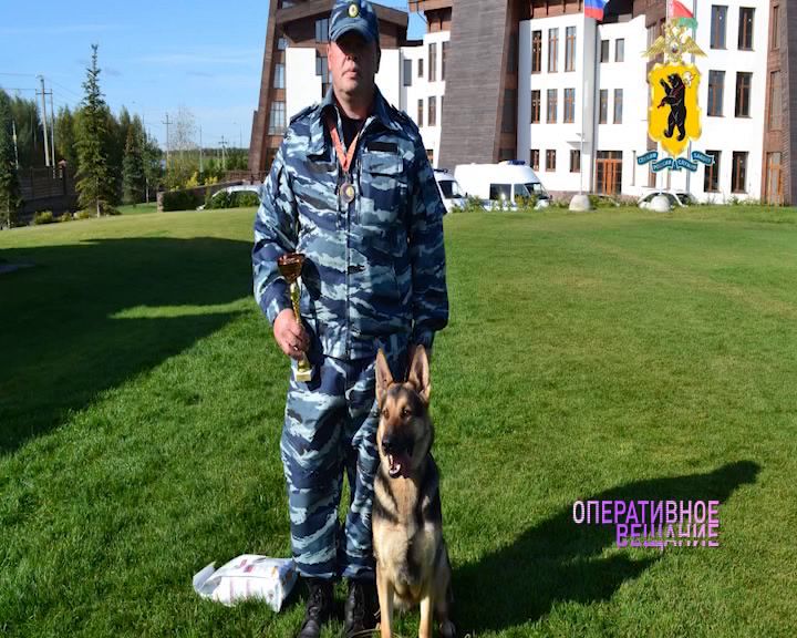 Кинолог из Ярославской области занял третье место на соревнованиях Министерства внутренних дел