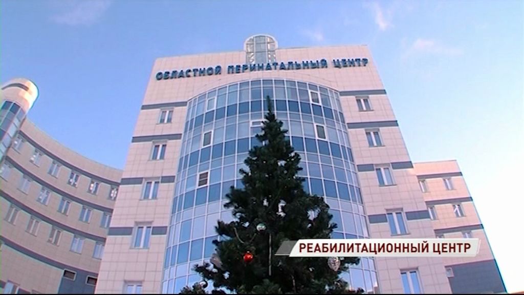 В Ярославле может появиться реабилитационный центр для детей с ограниченными возможностями- Дмитрий Миронов
