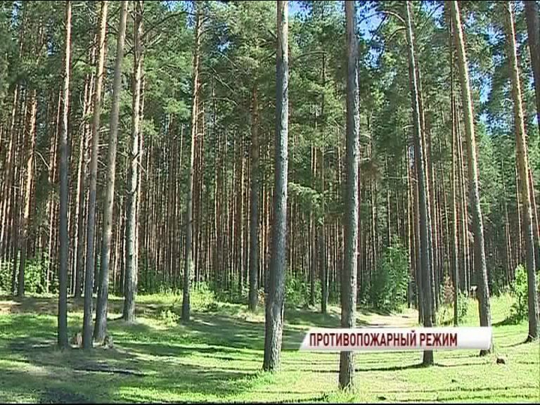 В регионе ввели противопожарный режим