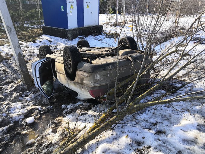 В Ярославском районе иномарка вылетела в кювет