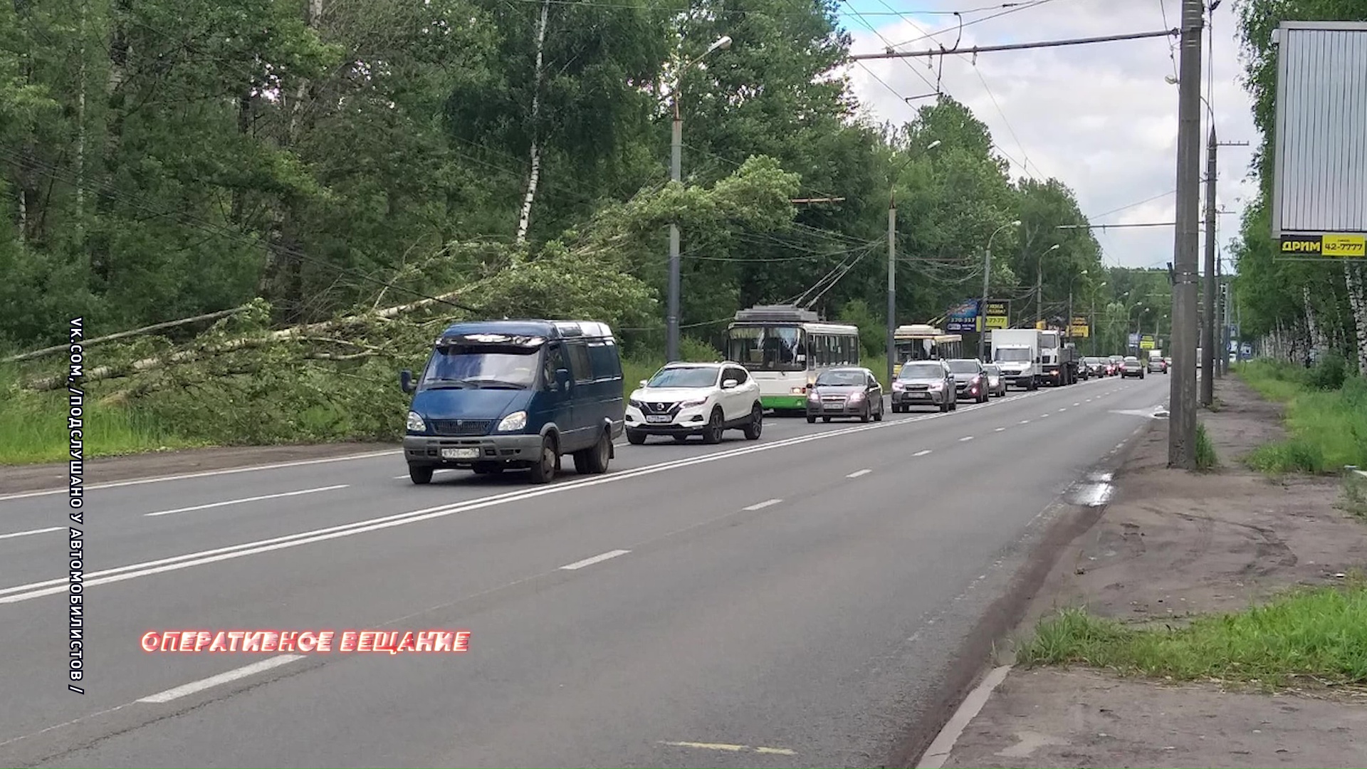 Упавшее дерево затормозило движение на Ленинградском проспекте