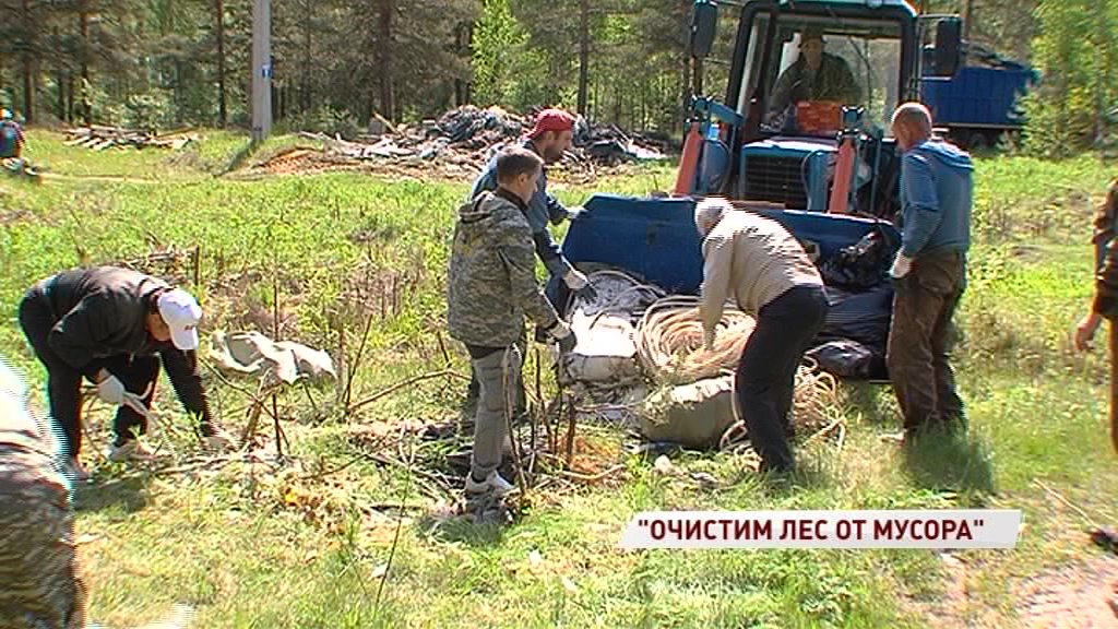 В регионе стартовала экологическая акция «Очистим лес от мусора»