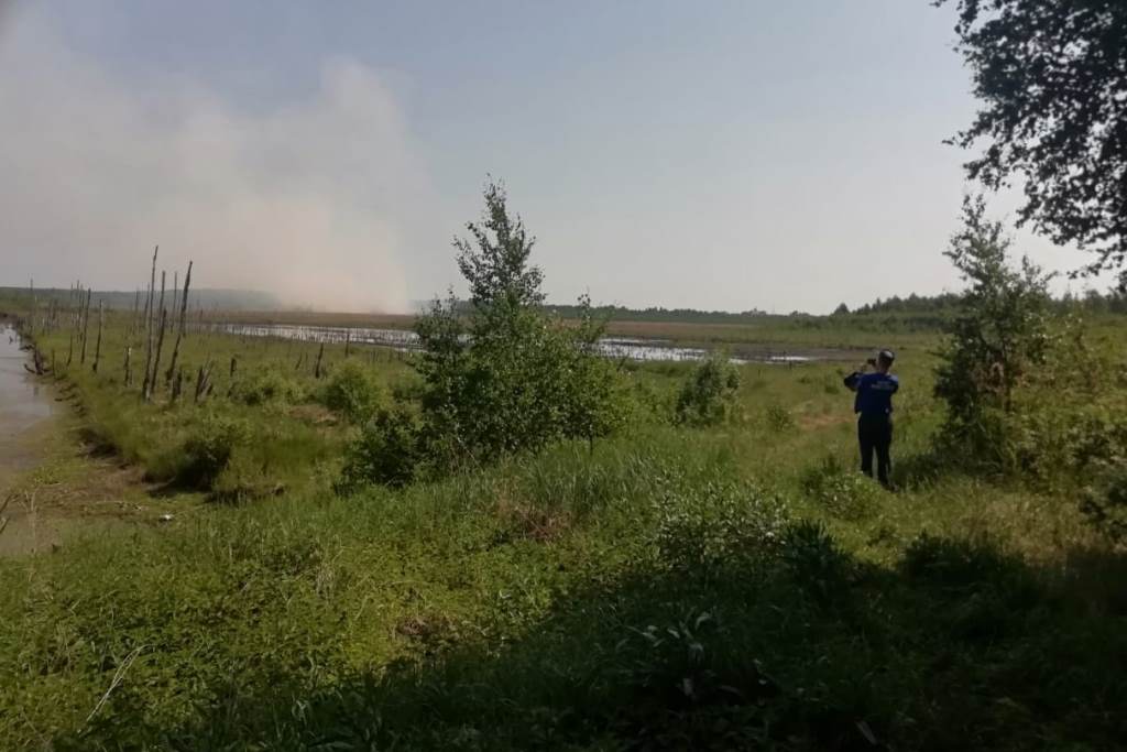 В Ярославской области усилен контроль за торфяниками