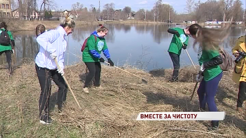 Депутаты, волонтеры и простые жители Ярославля вышли на массовый субботник
