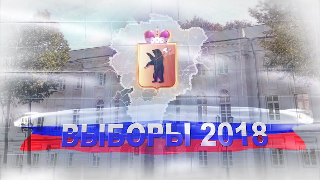 Кампанию ярославских единороссов по выборам в облдуму признали лучшей
