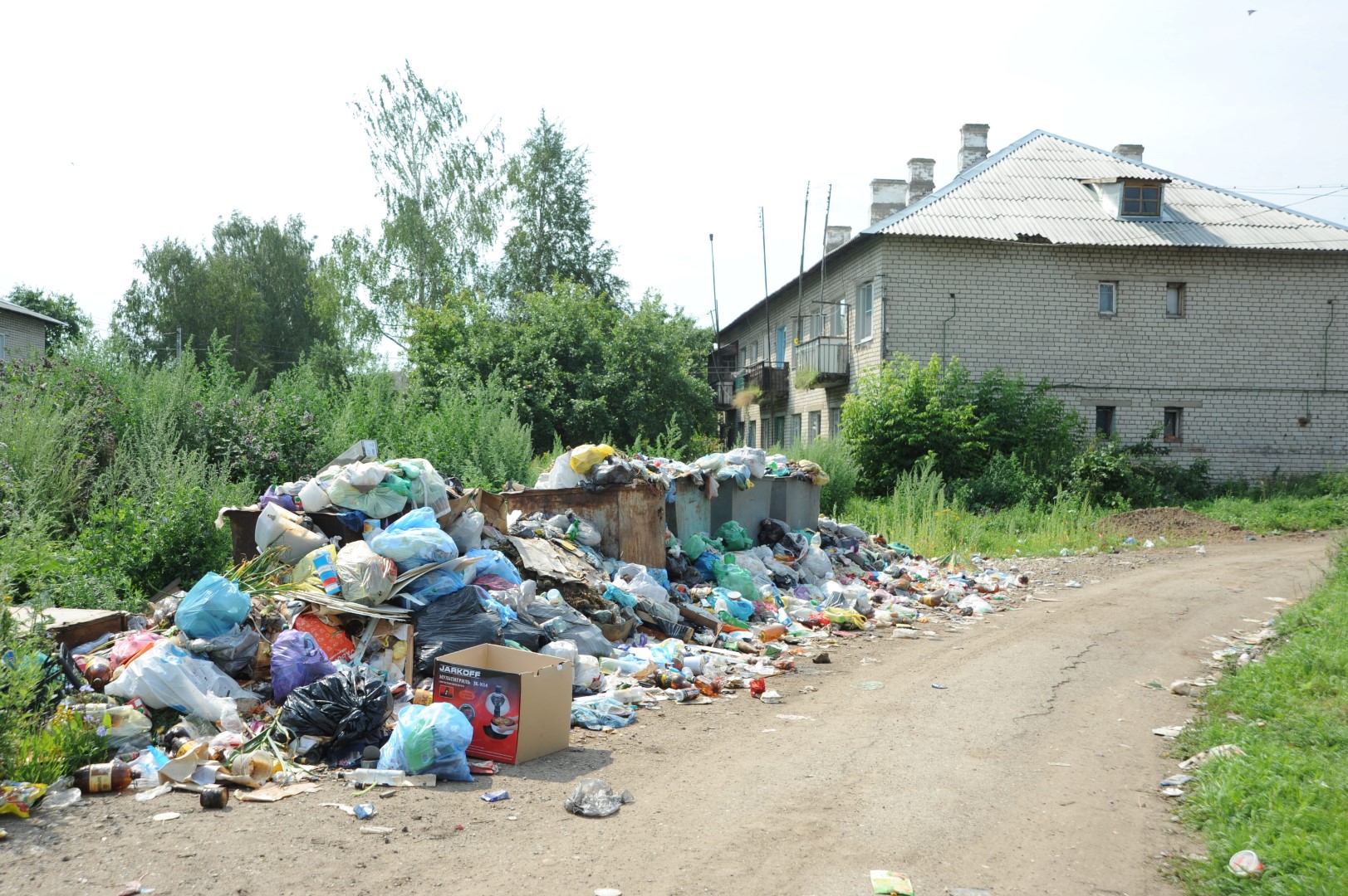 Областное правительство поможет жителям Ростовского района с вывозом мусора
