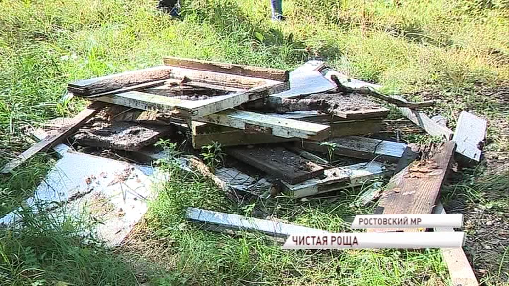 «Экодесант» спас от мусора березовую рощу в поселке Петровское
