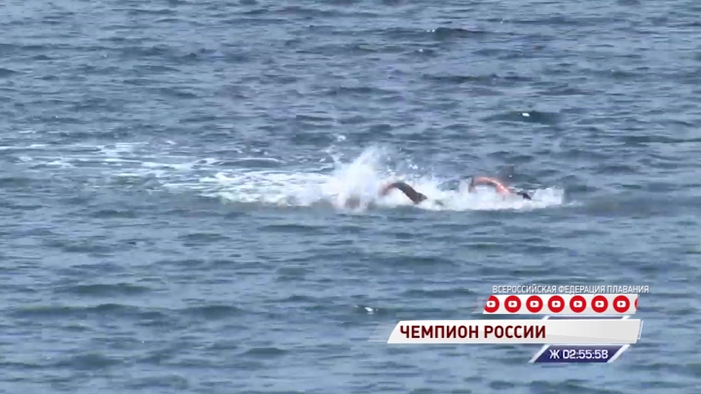 Ярославец выиграл «золото» на чемпионате России по плаванию на открытой воде