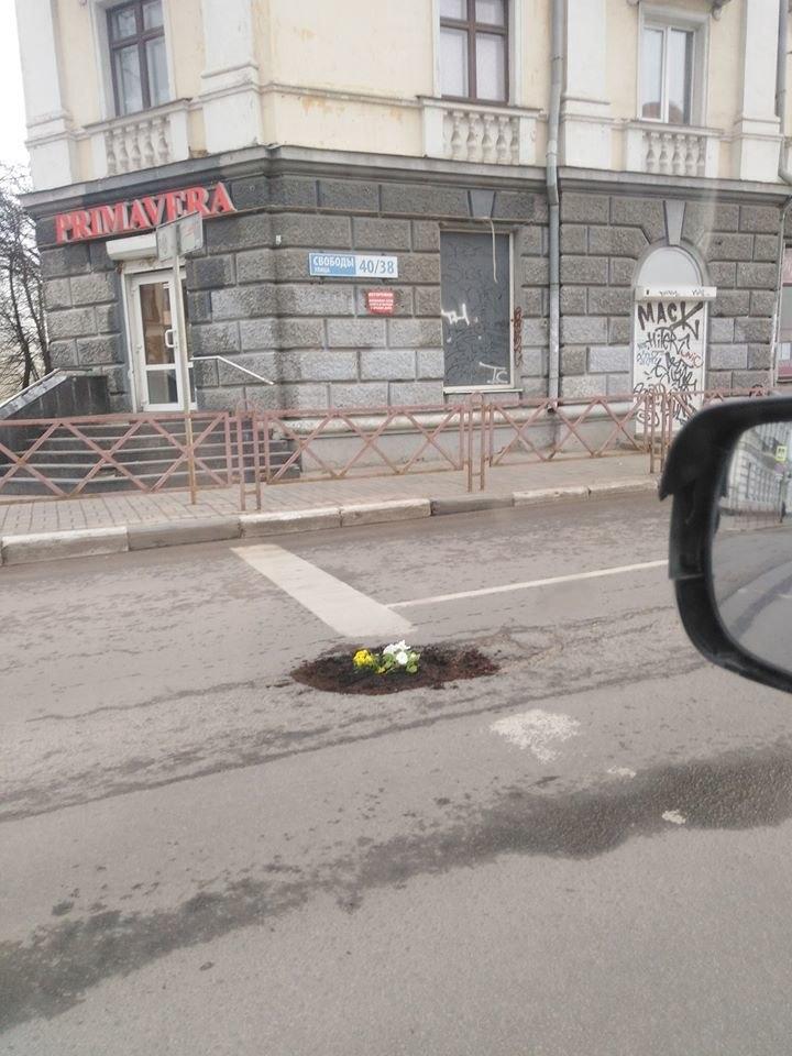 В центре Ярославля в дорожной яме сделали клумбу