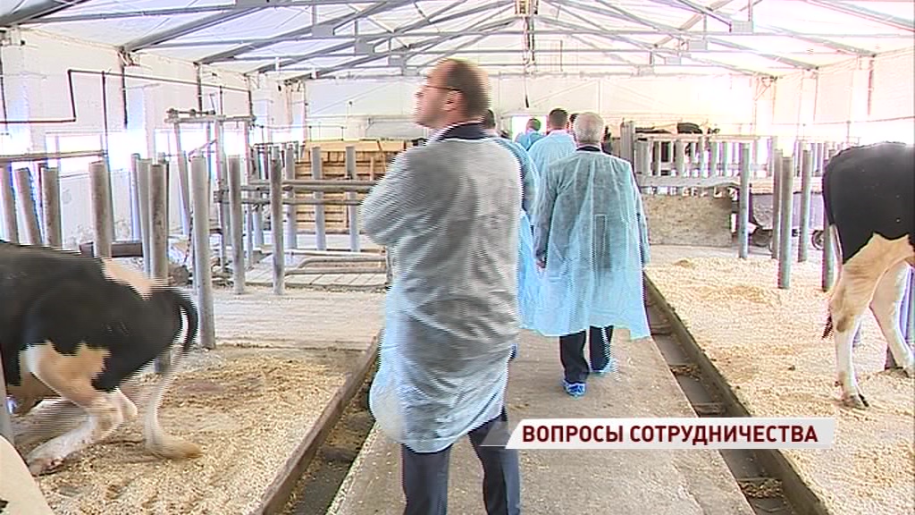 Племзавод получит поддержку от облдумы
