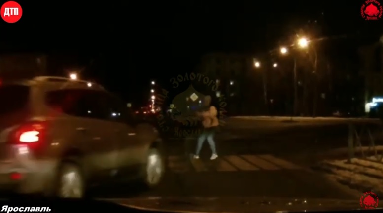 В Ярославле водитель, пытаясь объехать собаку, сбил девушку и ребенка: видео