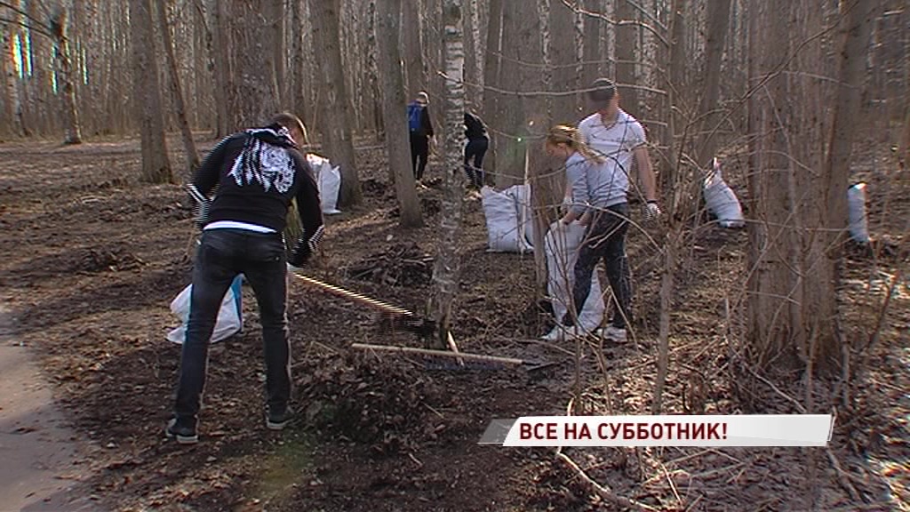 В Ярославле состоится общегородской субботник