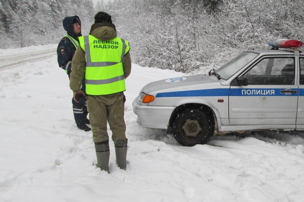 В Ярославской области во время новогодних праздников не допустили незаконную вырубку елей