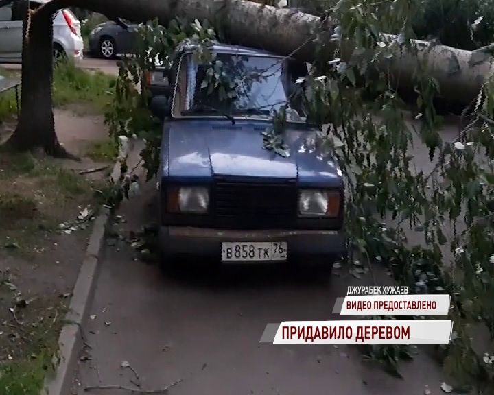На Тутаевском шоссе на легковушку рухнуло дерево