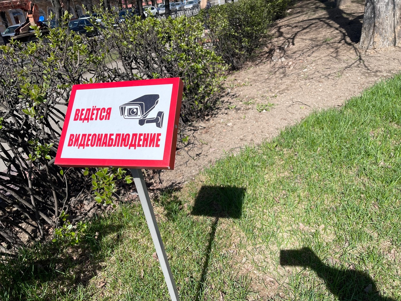 Леса Ярославской области находятся под видеонаблюдением