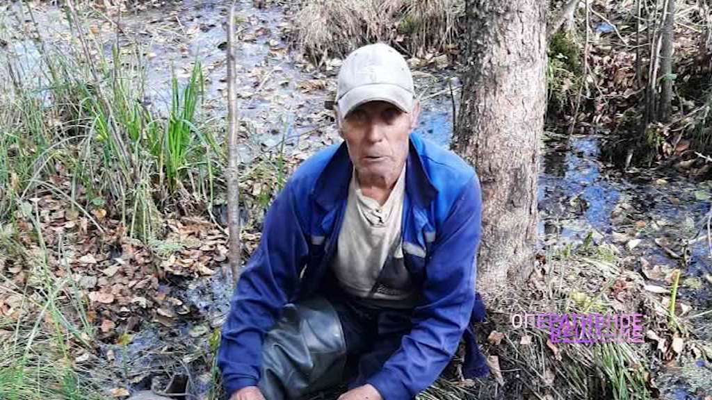 Ушел за клюквой и пропал на сутки: пропавшего в лесу пенсионера вынесли на носилках