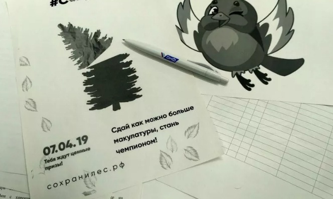 Ярославцы в рамках всероссийской акции смогут сдать макулатуру: адреса