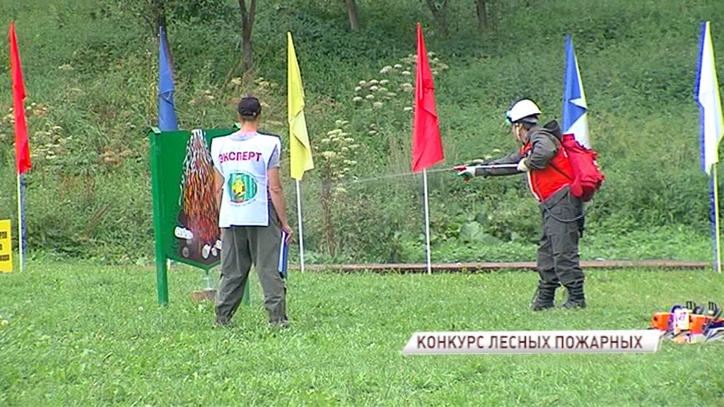 Они защищают лес: в регионе выбрали лучших огнеборцев