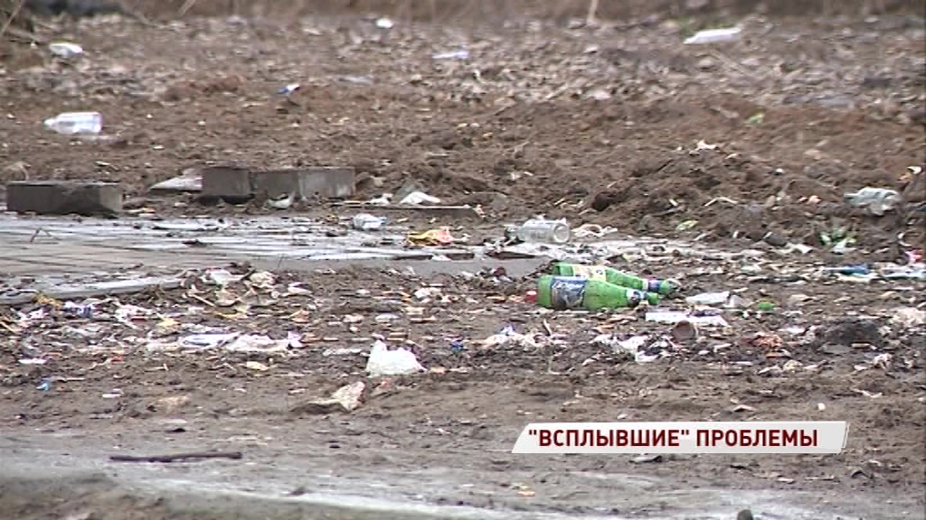 На дорогах грязь, а вместо подснежников – окурки: как выглядит весенний Ярославль
