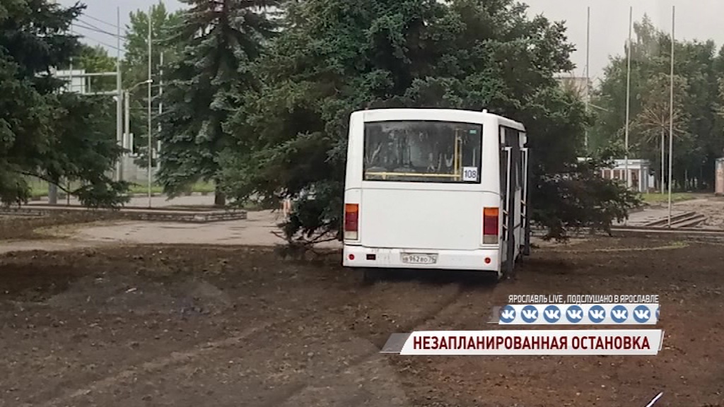 Маршрутка в кустах, легковушка всмятку: в Ярославле в ДТП пострадали люди