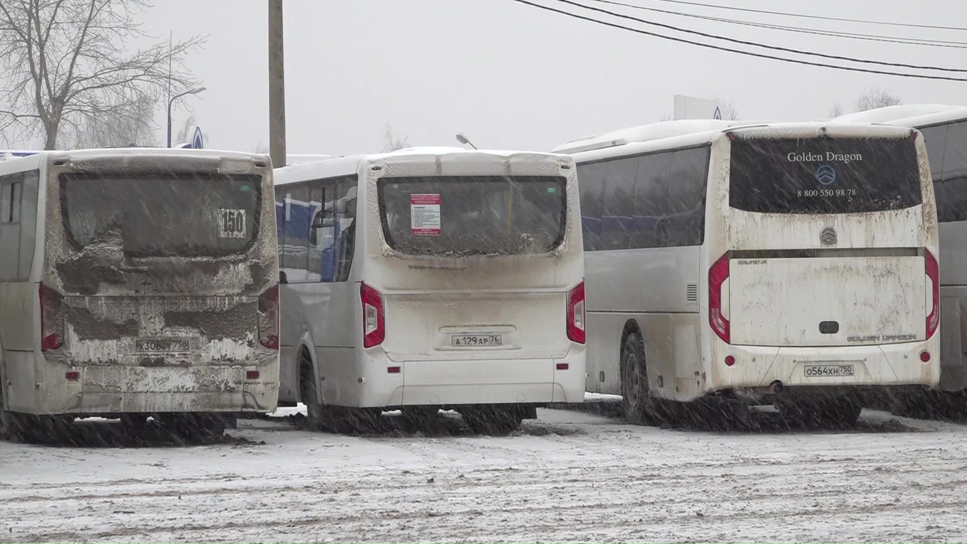 Во сколько автобус? В Ярославле подводят итоги работы новой схемы движения пригородных и междугородних автобусов