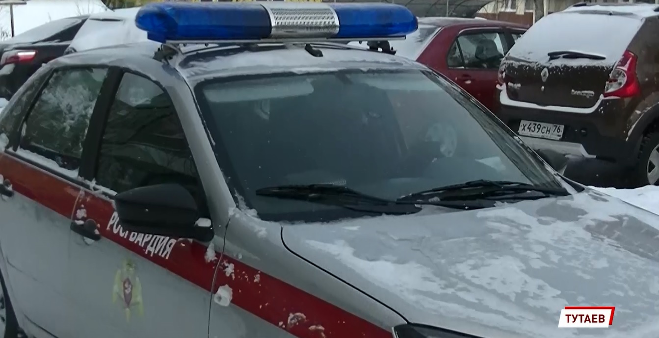 В Ярославской области сотрудники Росгвардии спасли замерзающую женщину