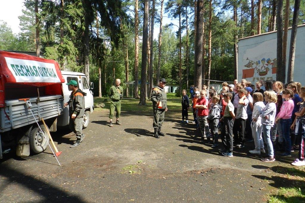 «Береги лес от пожара»: в детский лагерях проходит экологическая акция