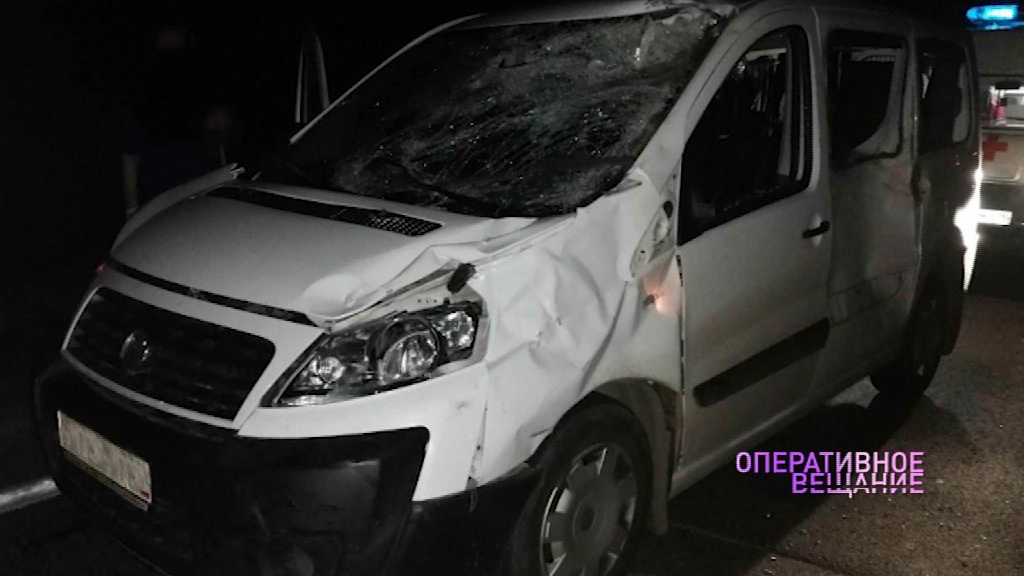 В Тутаевском районе два раза сбили лосенка